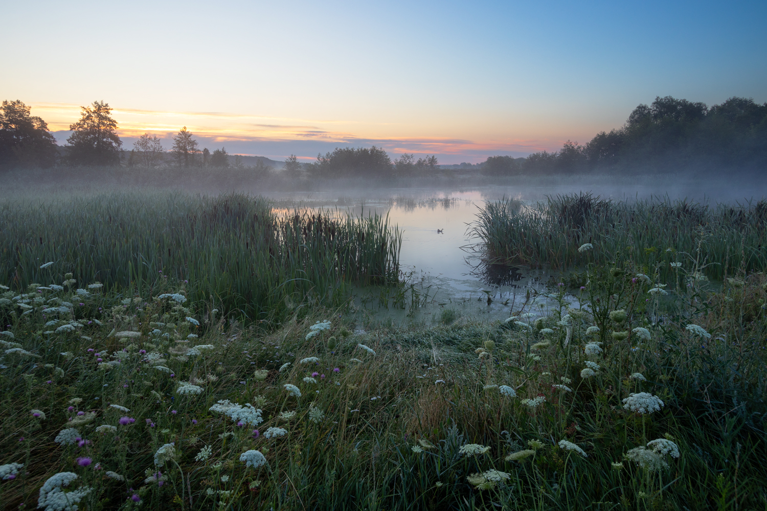 фото "***" метки: пейзаж, 