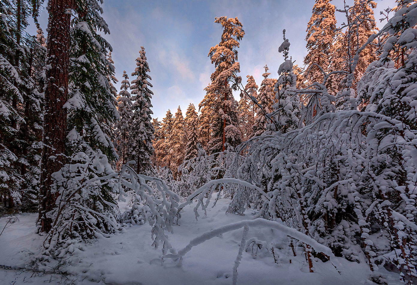 фото "Зимняя зарисовка" метки: пейзаж, природа, зима