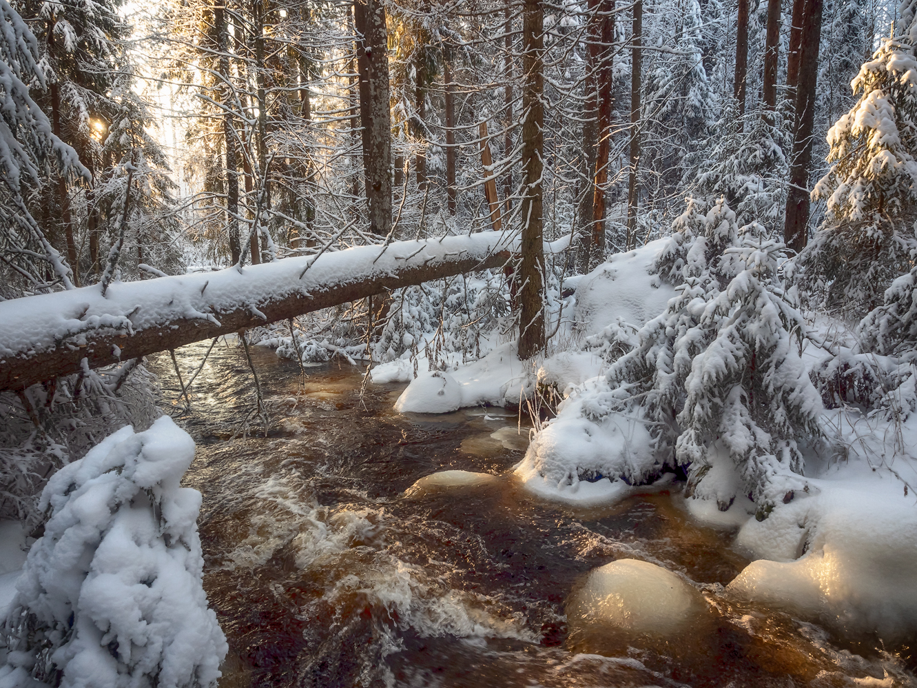 photo "***" tags: landscape, forest, river, winter