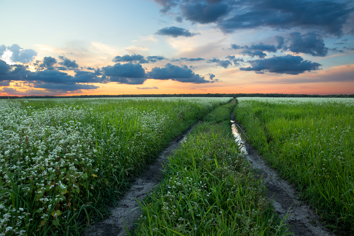 photo "***" tags: landscape, 