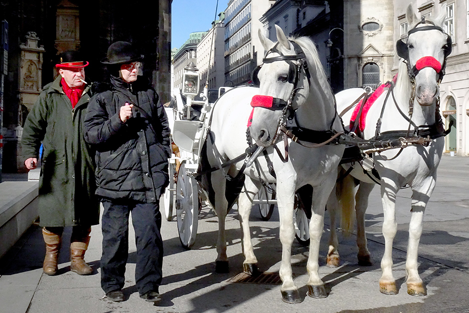 фото "Vienna - carriages and coachmen." метки: город, 