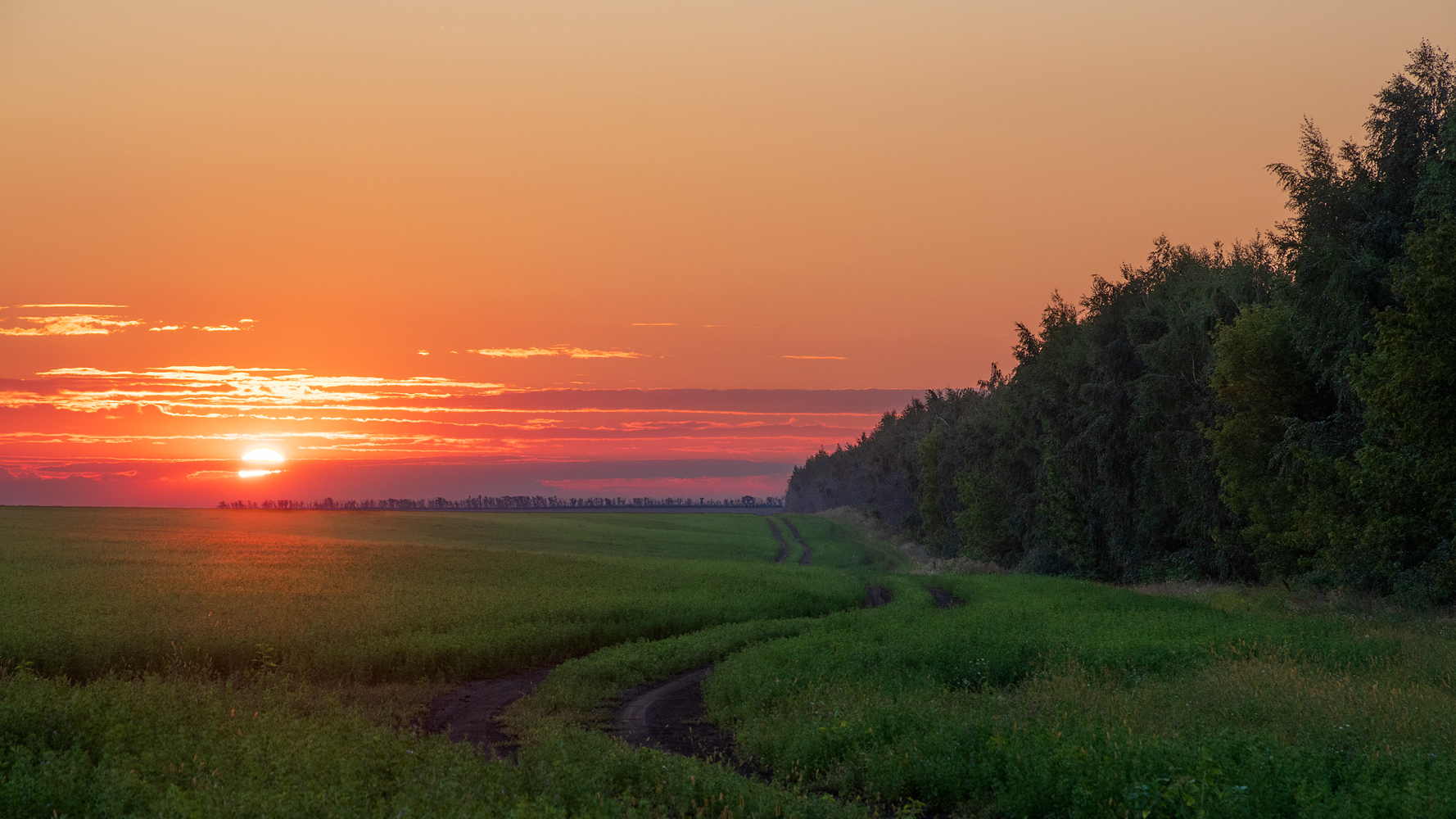 фото "***" метки: пейзаж, 