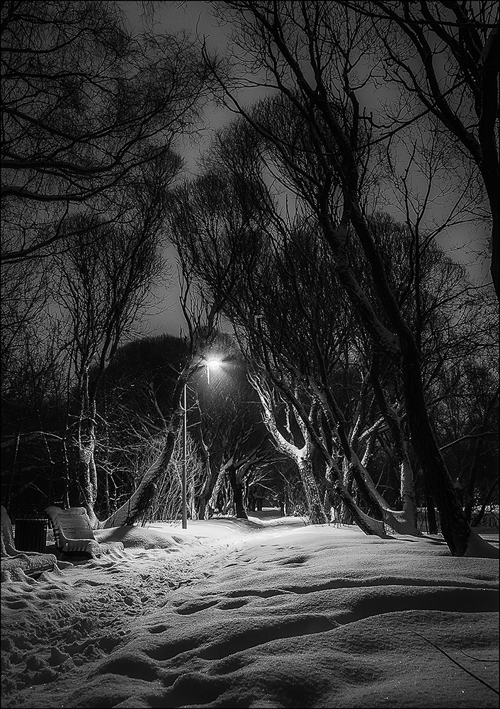 фото "Зимняя ночь в парке." метки: пейзаж, 