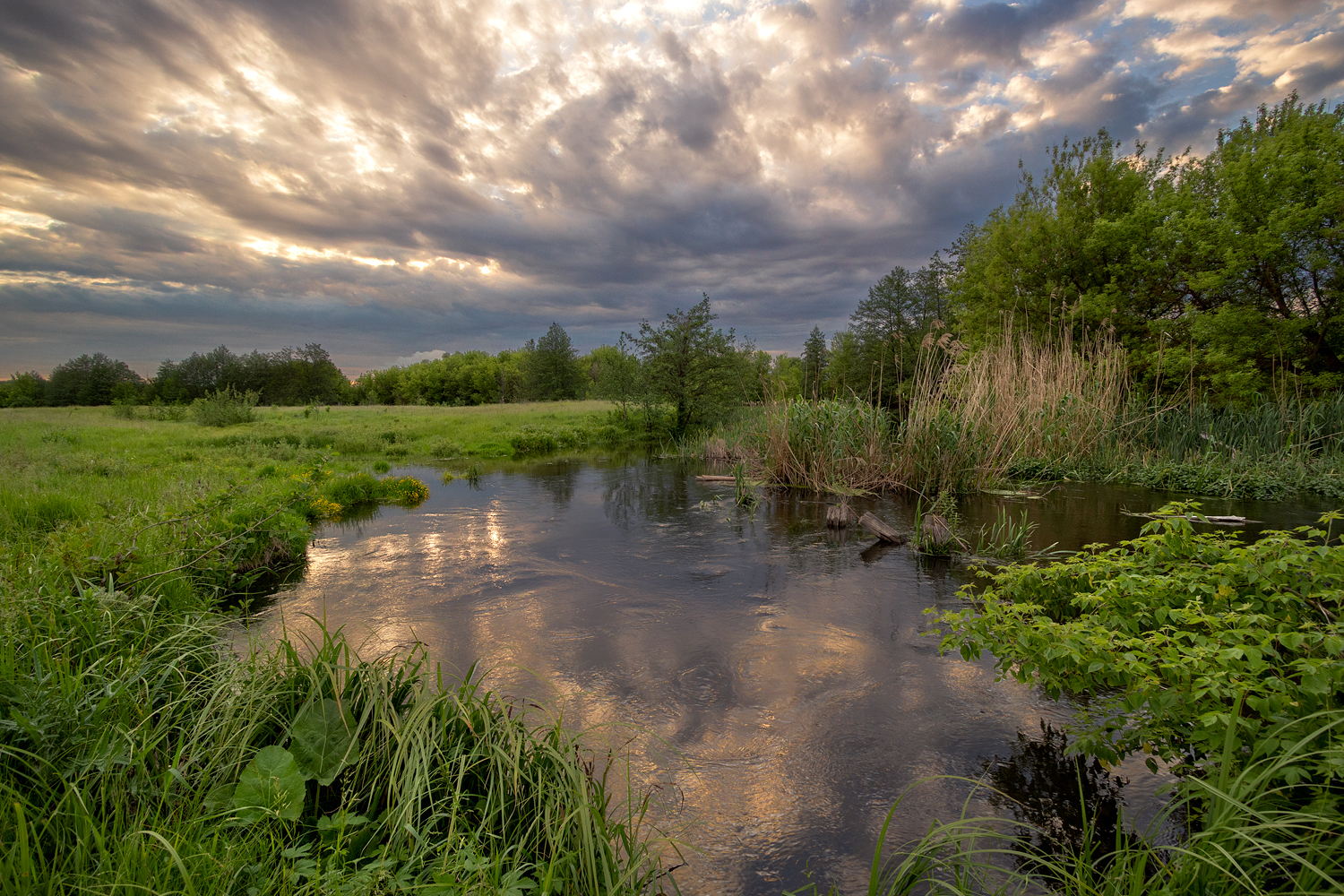 photo "***" tags: landscape, 