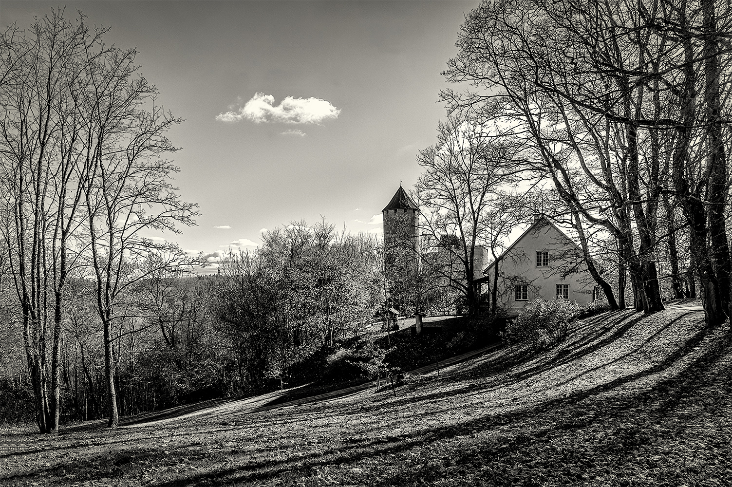 photo "View of the Turaida Castle's Main Tower" tags: architecture, 