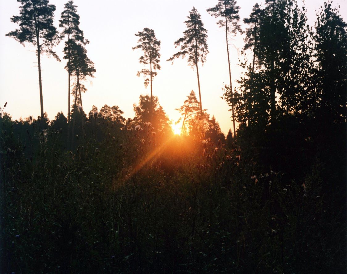 фото "Восход солнца в Мартьянове" метки: , 