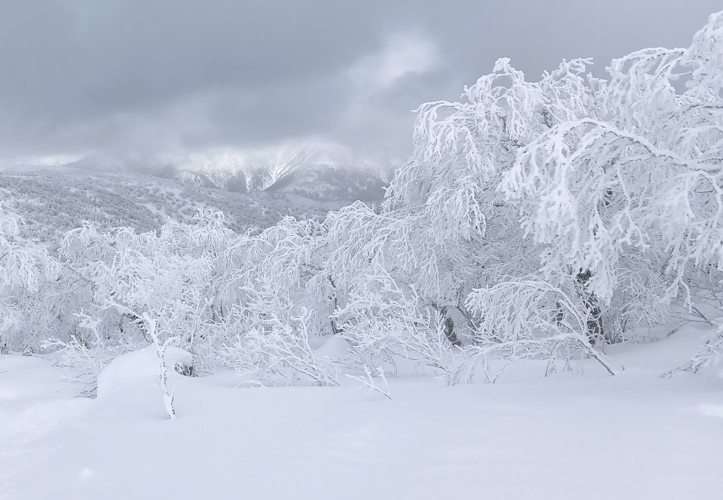 фото "***" метки: пейзаж, 