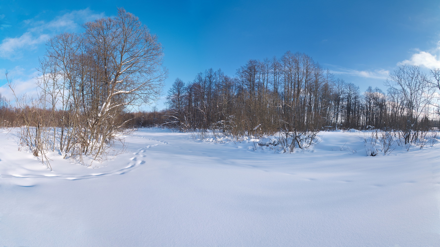 фото "***" метки: природа, 