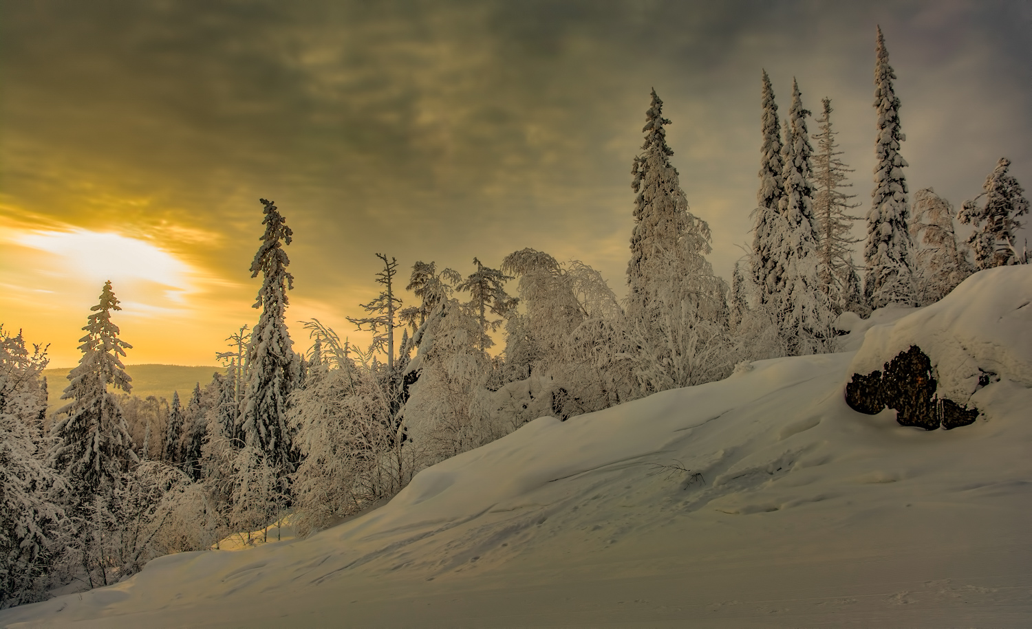фото "Зима на склоне" метки: пейзаж, 