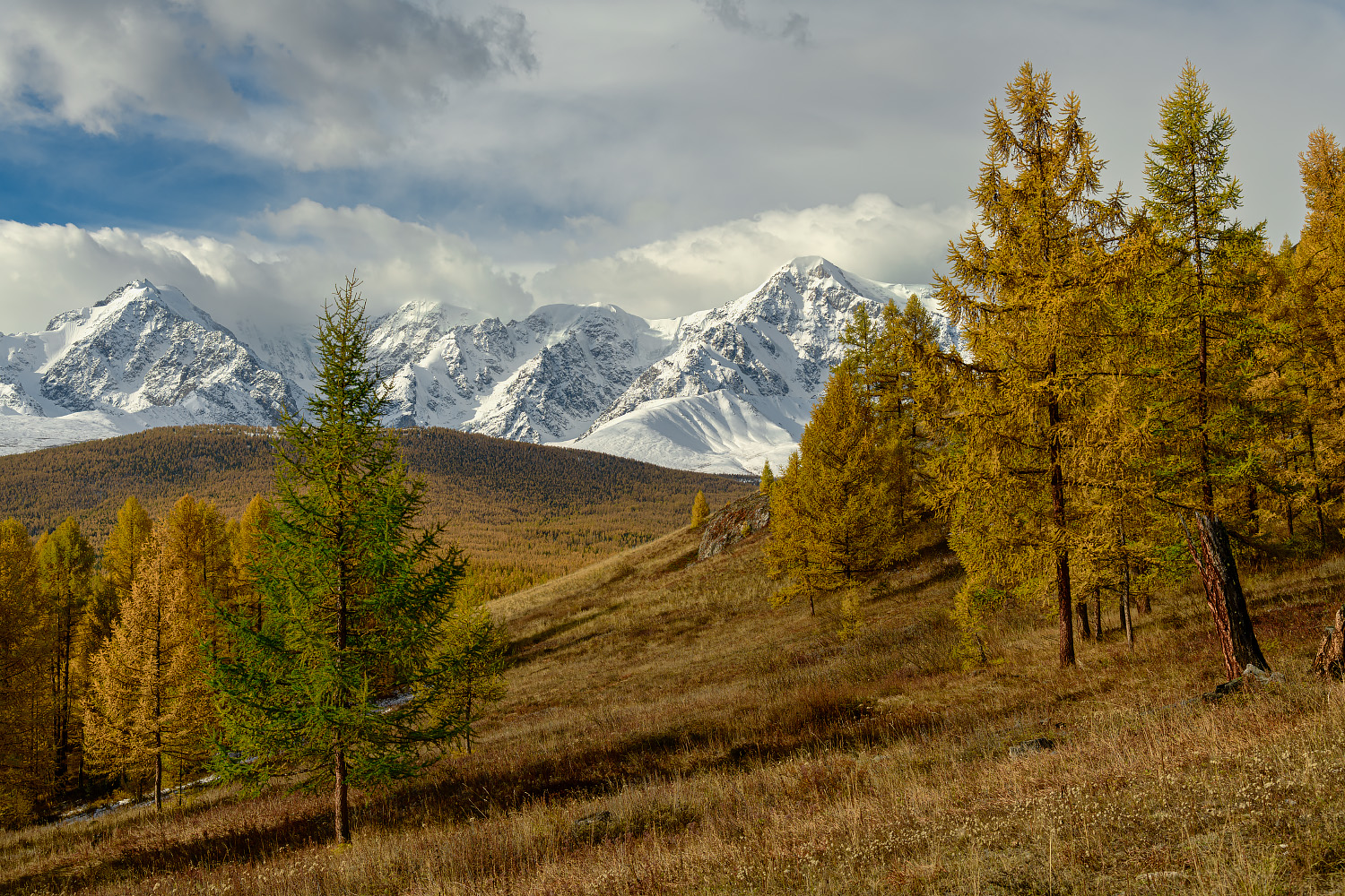 фото "Осенний пейзаж" метки: пейзаж, путешествия, Алтай, осень, путешествие