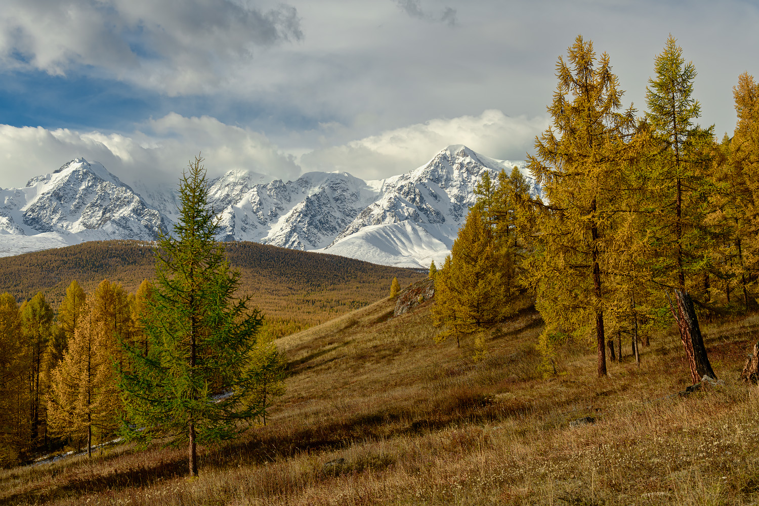 photo "***" tags: landscape, travel, autumn, Алтай, путешествие