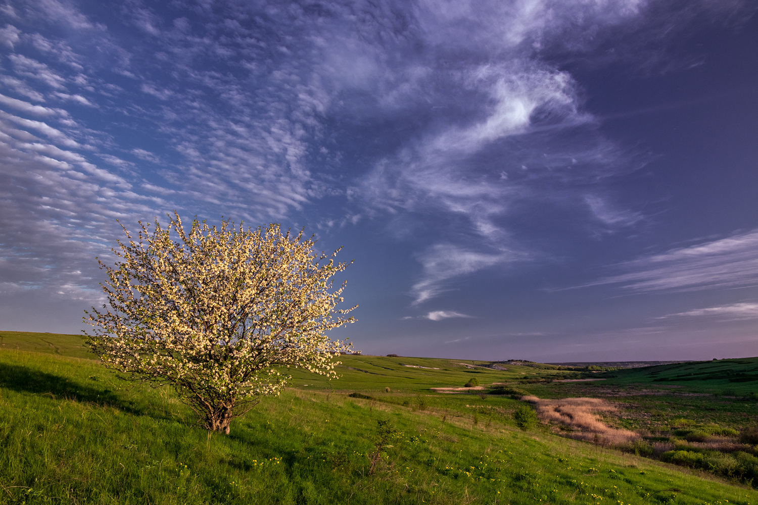 фото "***" метки: пейзаж, 