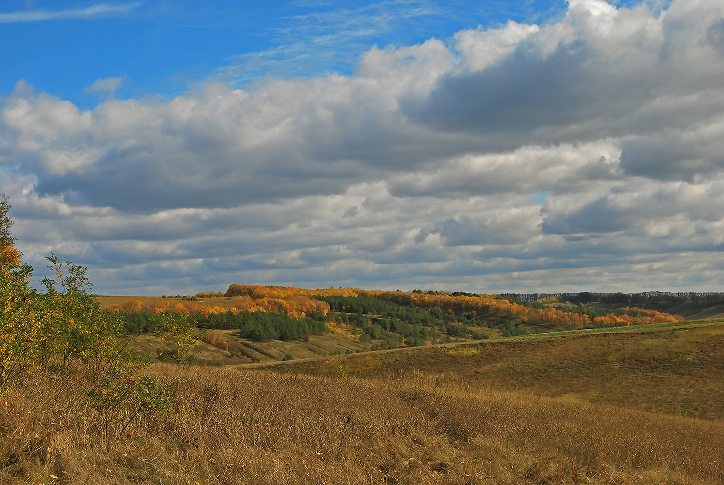 photo "***" tags: landscape, autumn, sky