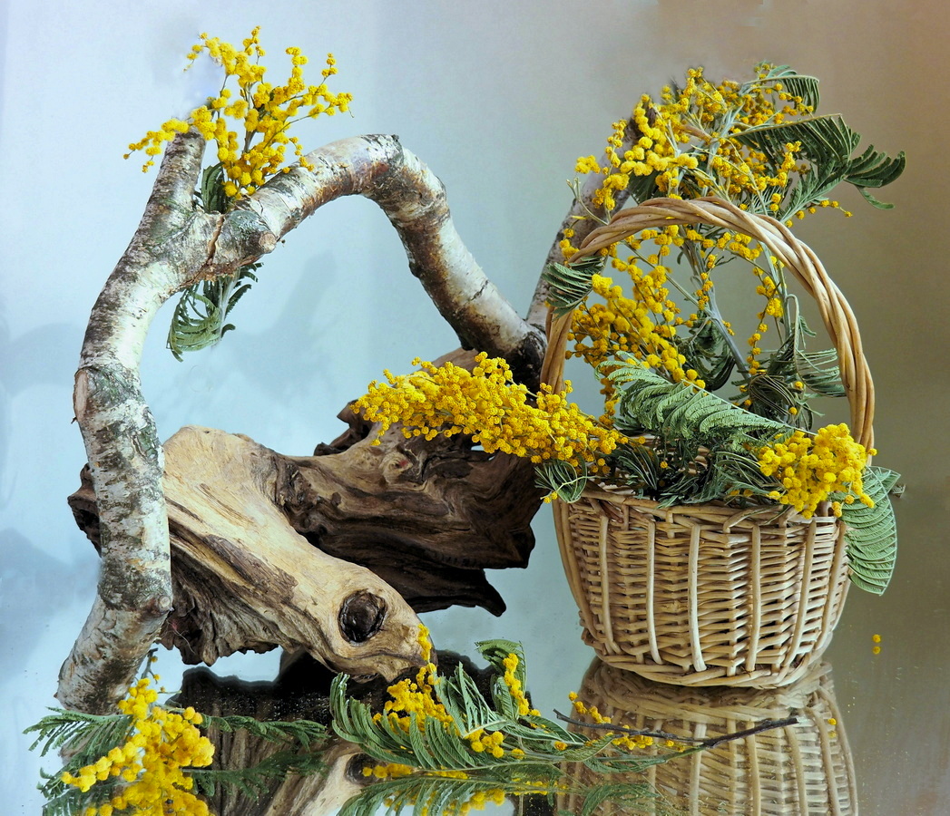 фото "Коряги и послевкусие весеннего аромата." метки: натюрморт, коряга, цветы