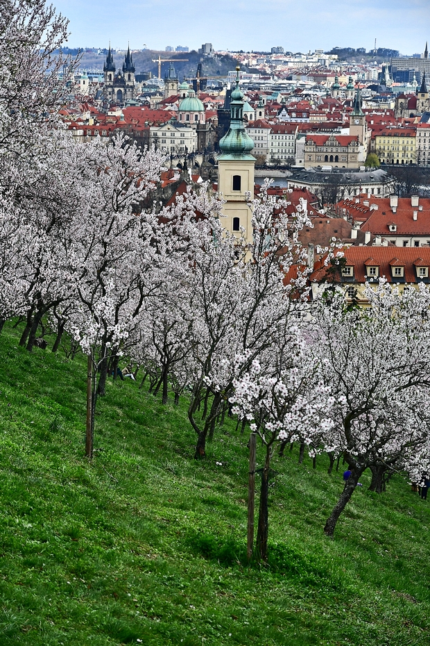 photo "Пражская весна" tags: city, architecture, Prag Prague Praha