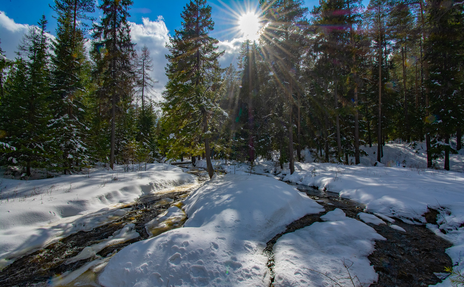 фото "Весенний островок" метки: пейзаж, 