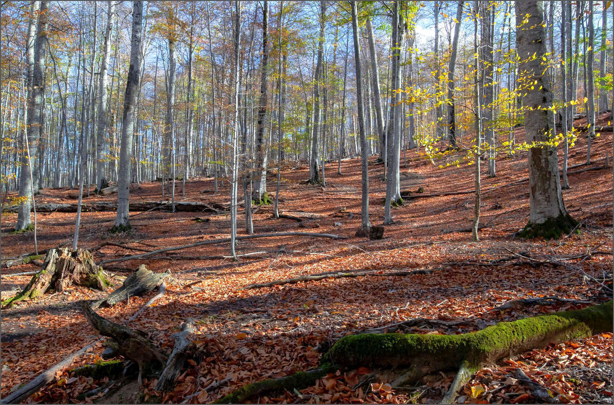 photo "***" tags: landscape, nature, 