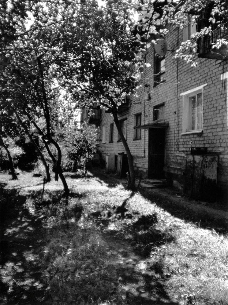 фото "Дворовый палисад" метки: , 