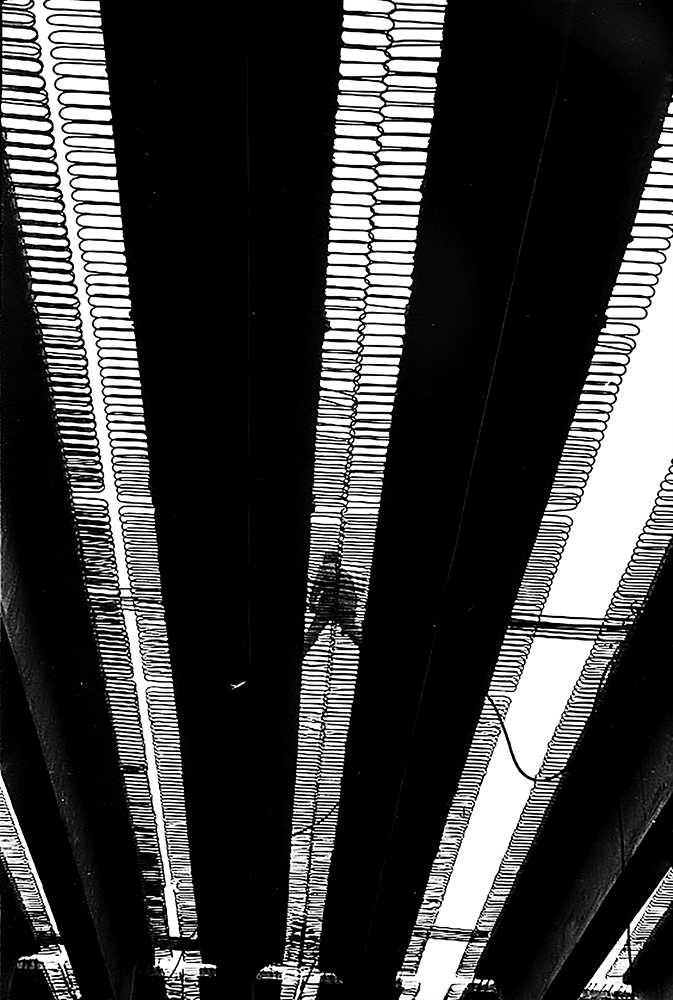 photo "***" tags: reporting, 