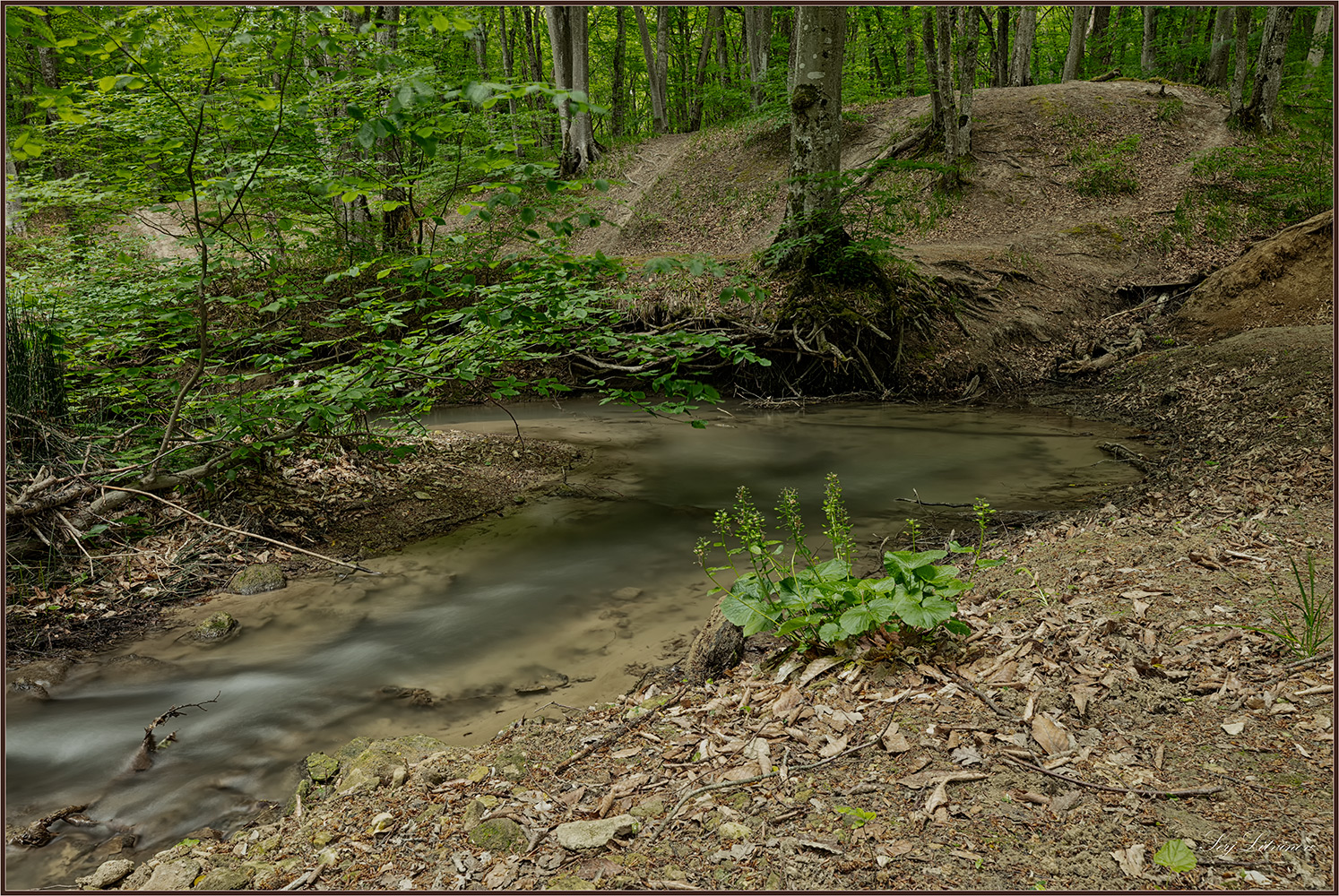 photo "***" tags: landscape, 
