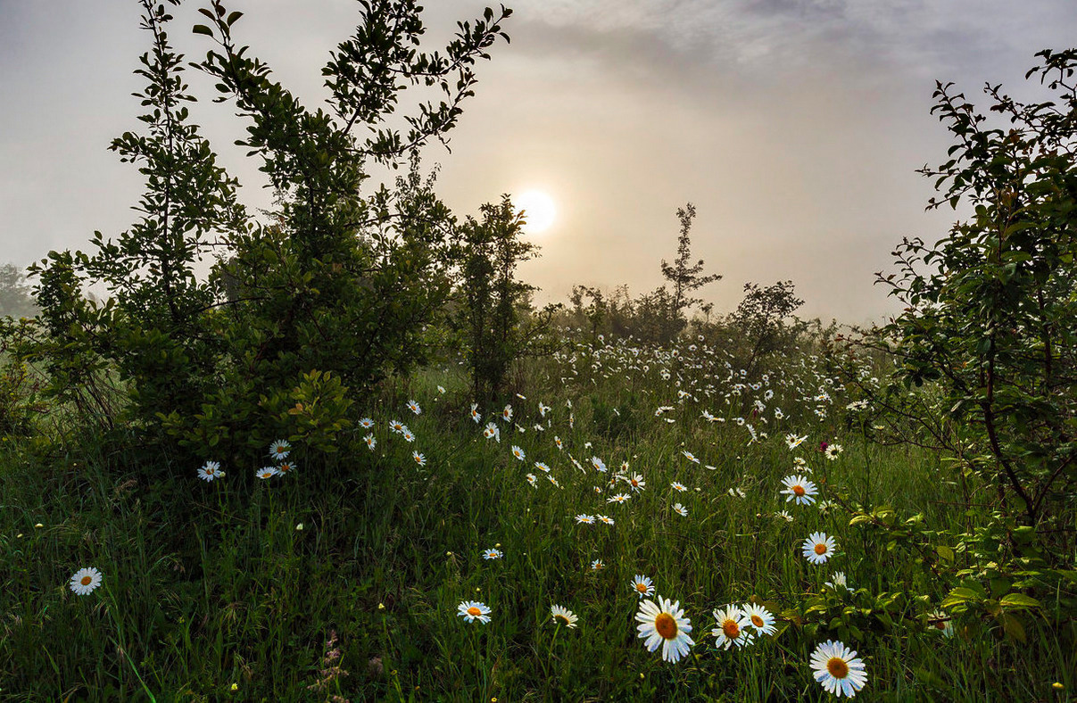 photo "***" tags: landscape, nature, 