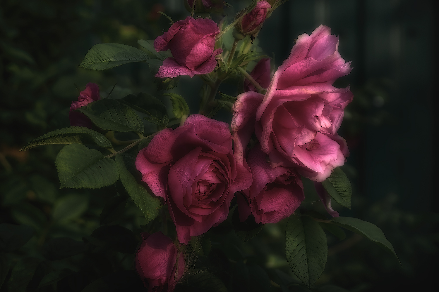 photo "***" tags: nature, macro and close-up, 