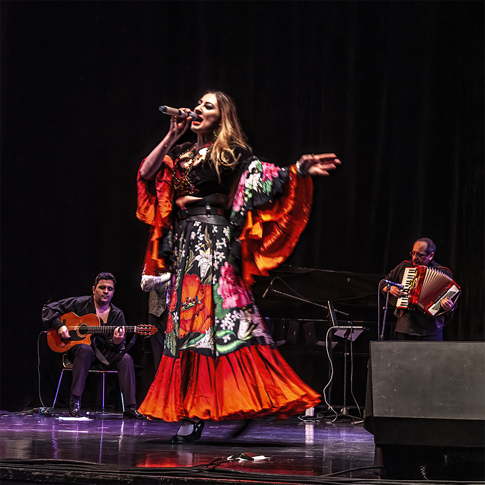 photo "Gypsy Performance" tags: genre, 
