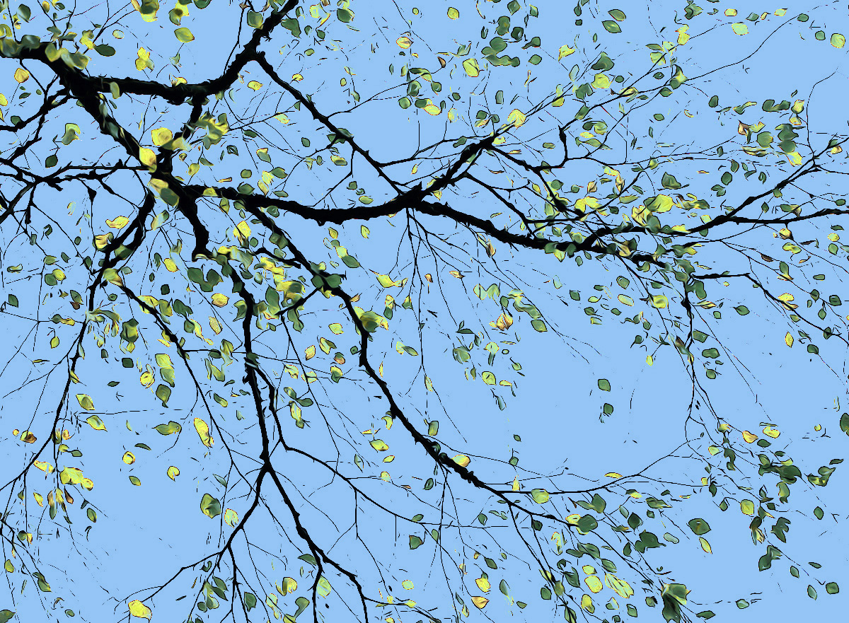 фото "spring sketch" метки: digital art, 