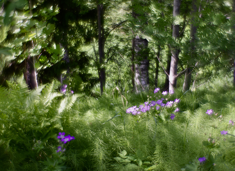 фото "***" метки: пейзаж, 