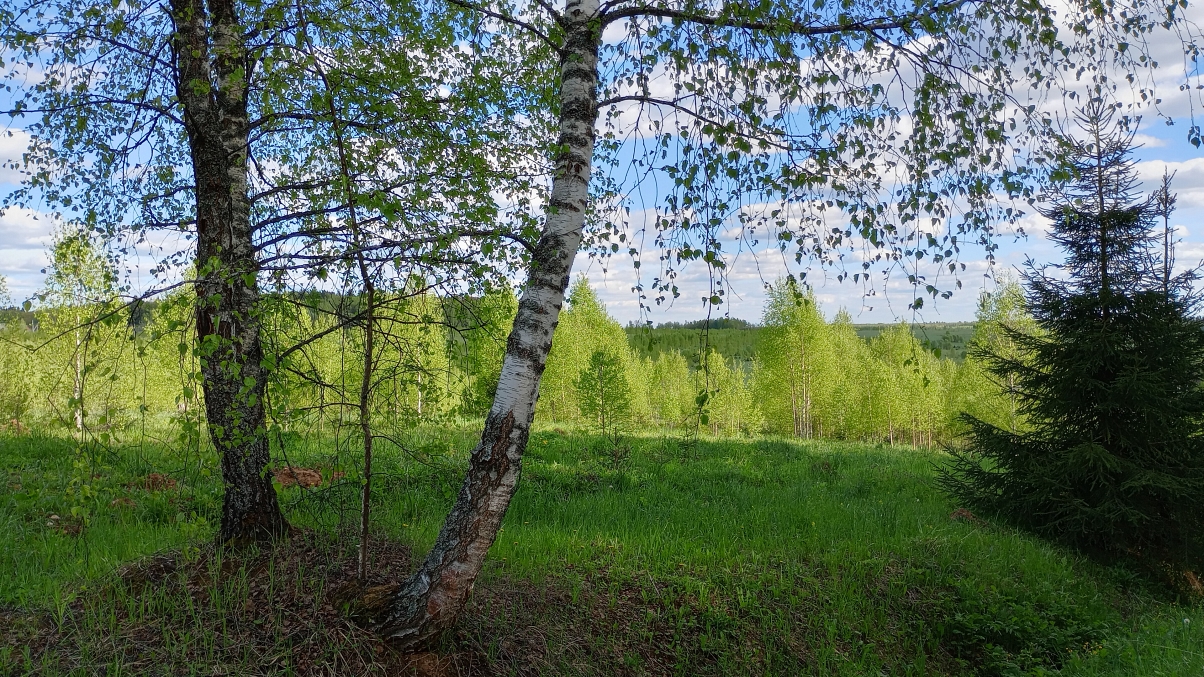 photo "***" tags: landscape, 