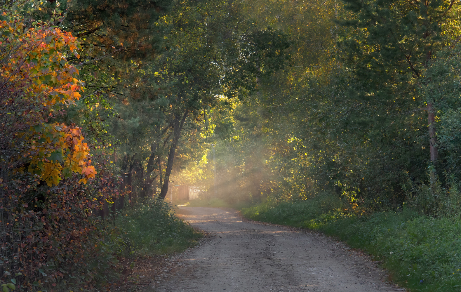 photo "***" tags: landscape, 