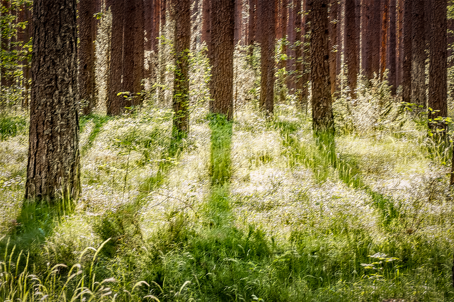 photo "Popular Theme" tags: landscape, 