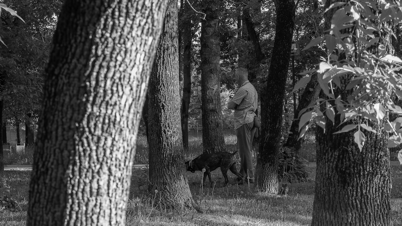 photo "***" tags: genre, 
