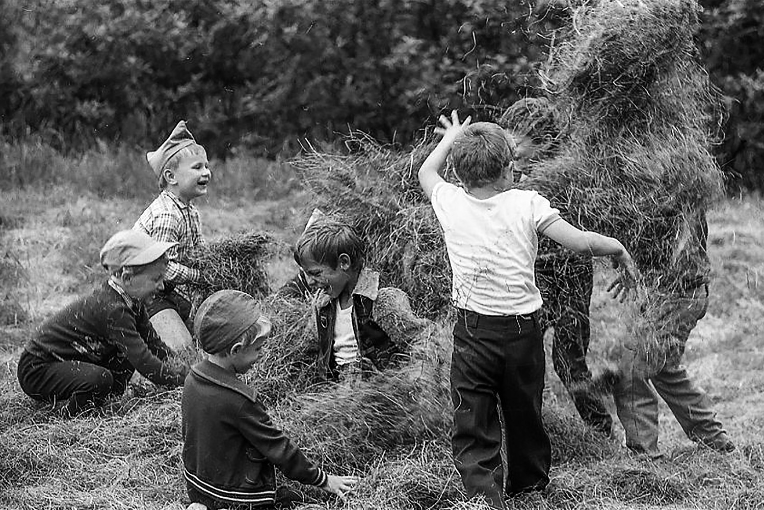 photo "***" tags: genre, 