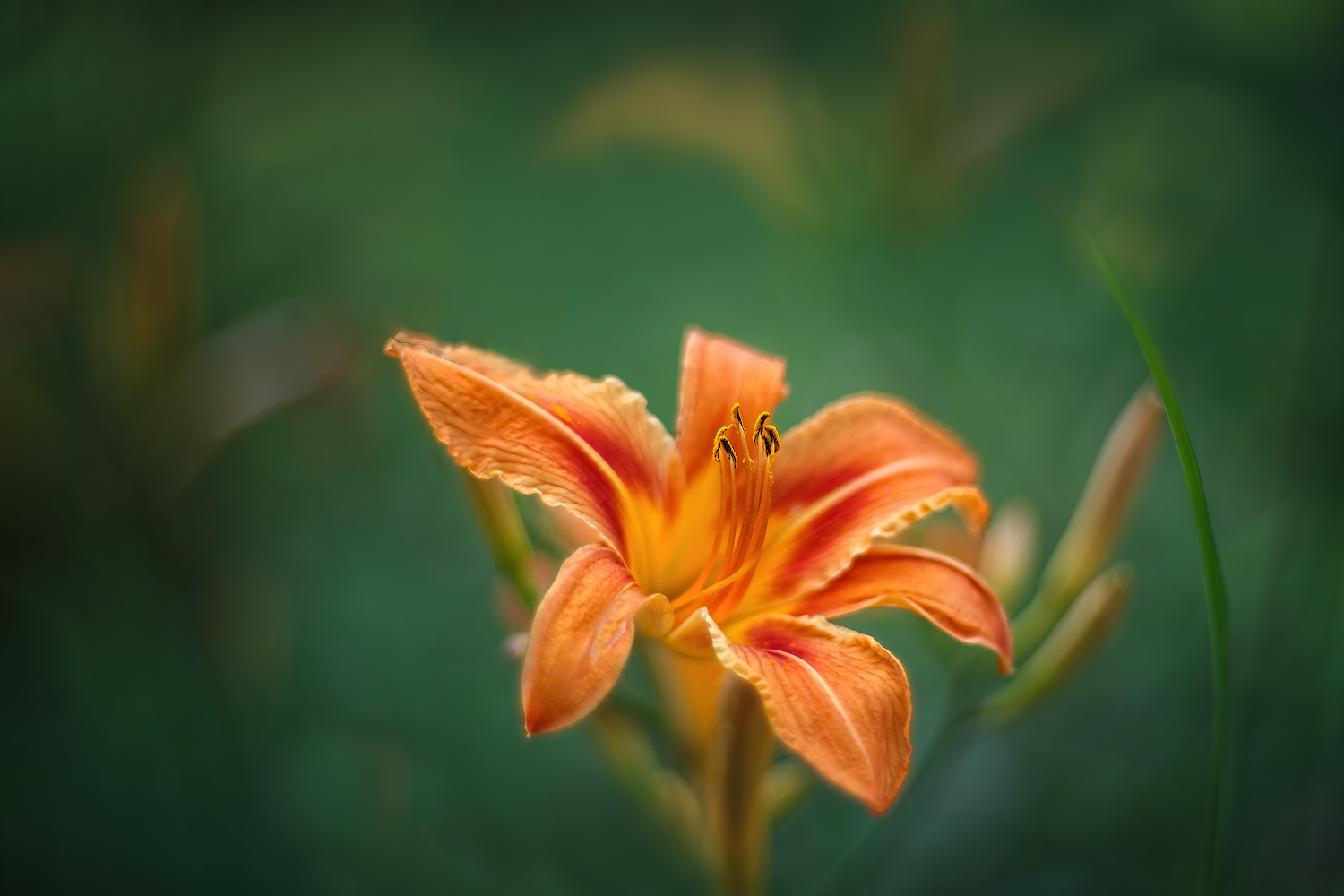 photo "***" tags: , 