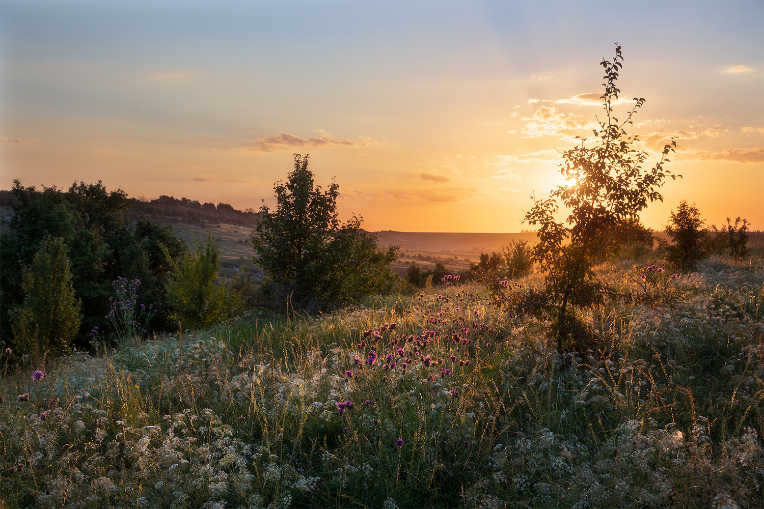 photo "***" tags: landscape, 
