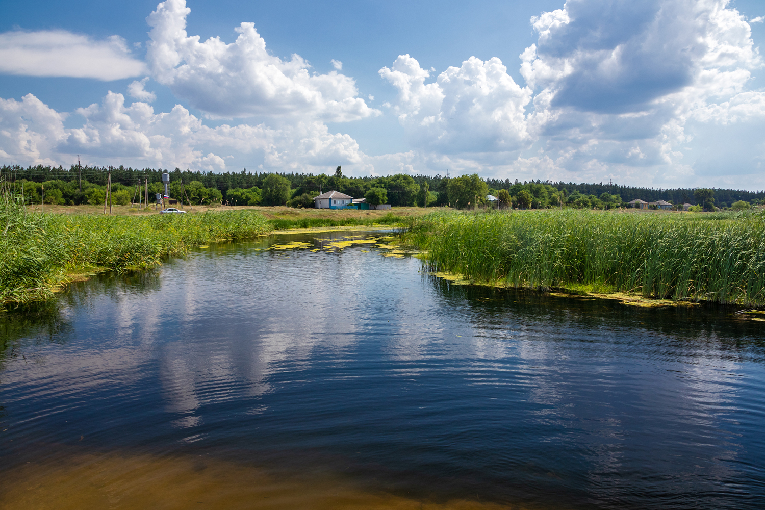 photo "***" tags: landscape, 