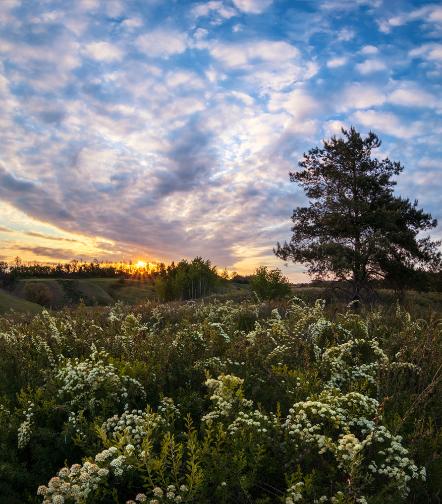photo "***" tags: landscape, 