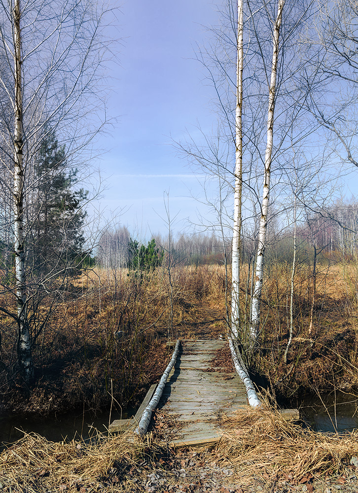 фото "***" метки: природа, 