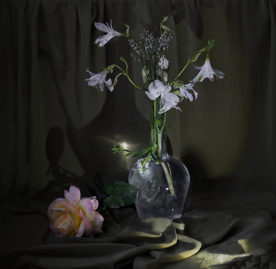 photo "***" tags: still life, flowers, свето, тени