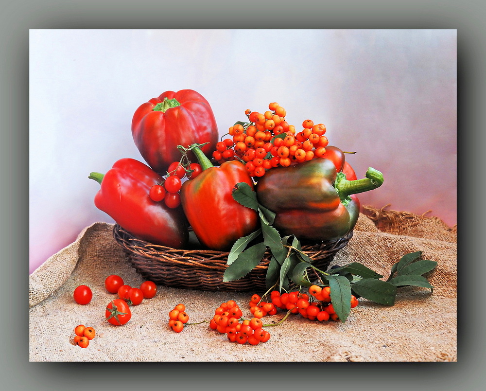 photo "***" tags: , перец, рябина