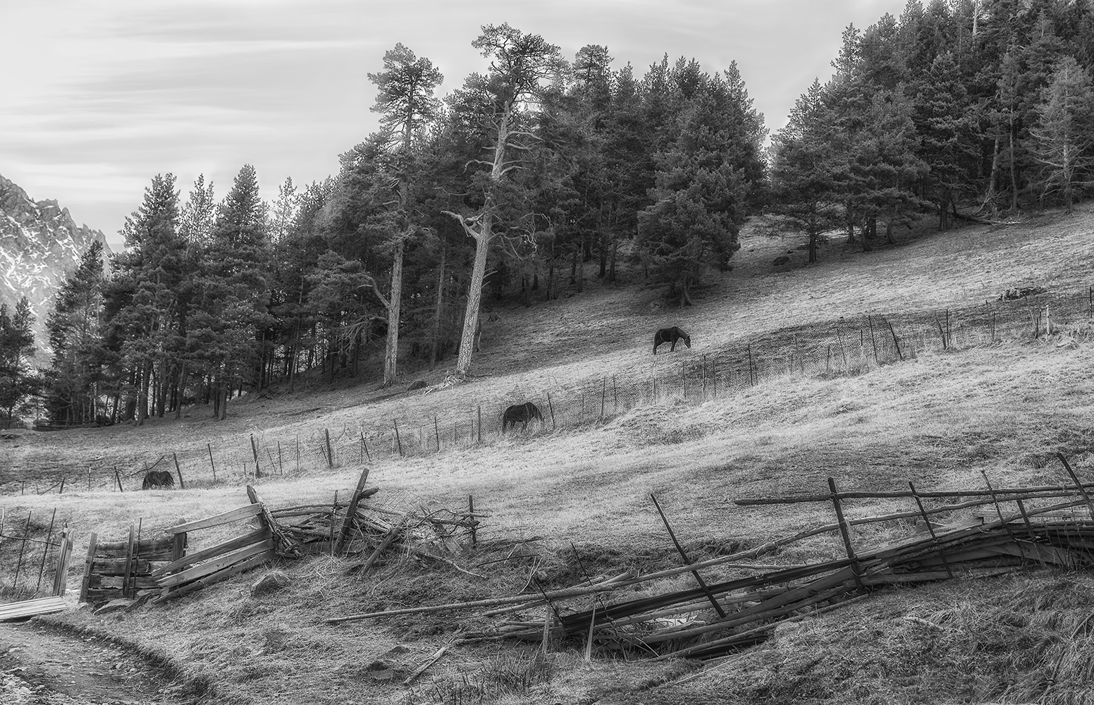 photo "***" tags: , 
