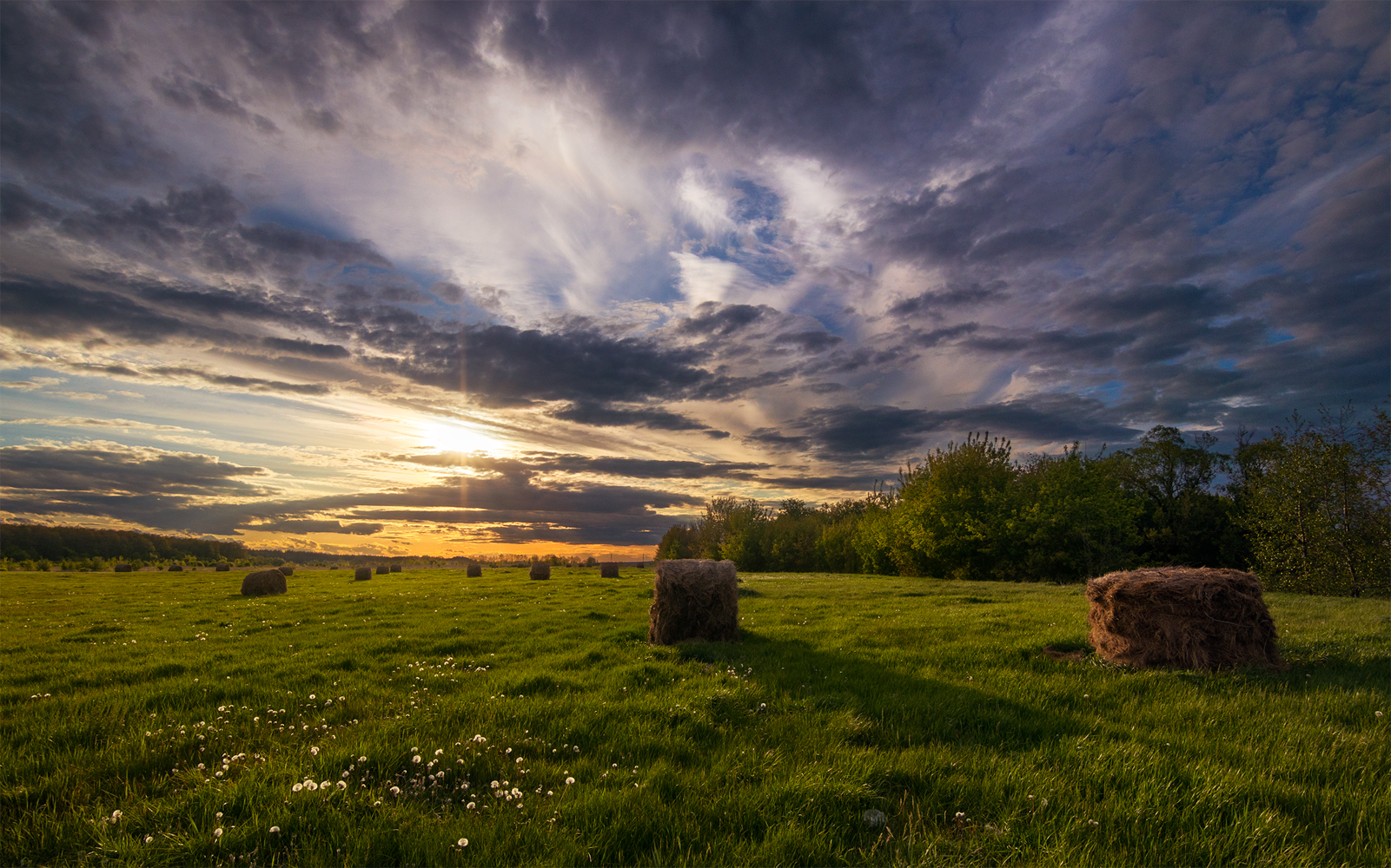 photo "***" tags: landscape, 
