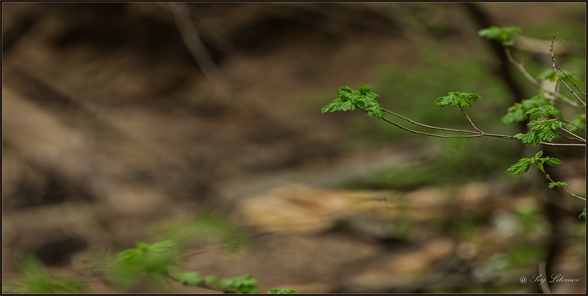 photo "***" tags: landscape, 