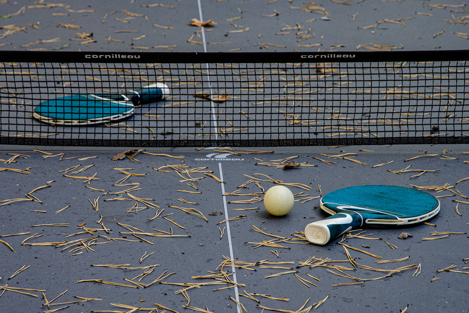 photo "***" tags: still life, 