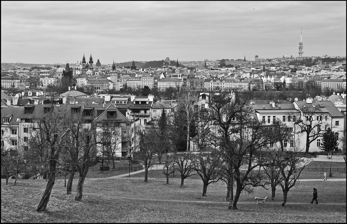 photo "Вид с Петржина" tags: black&white, architecture, Prag Prague Praha