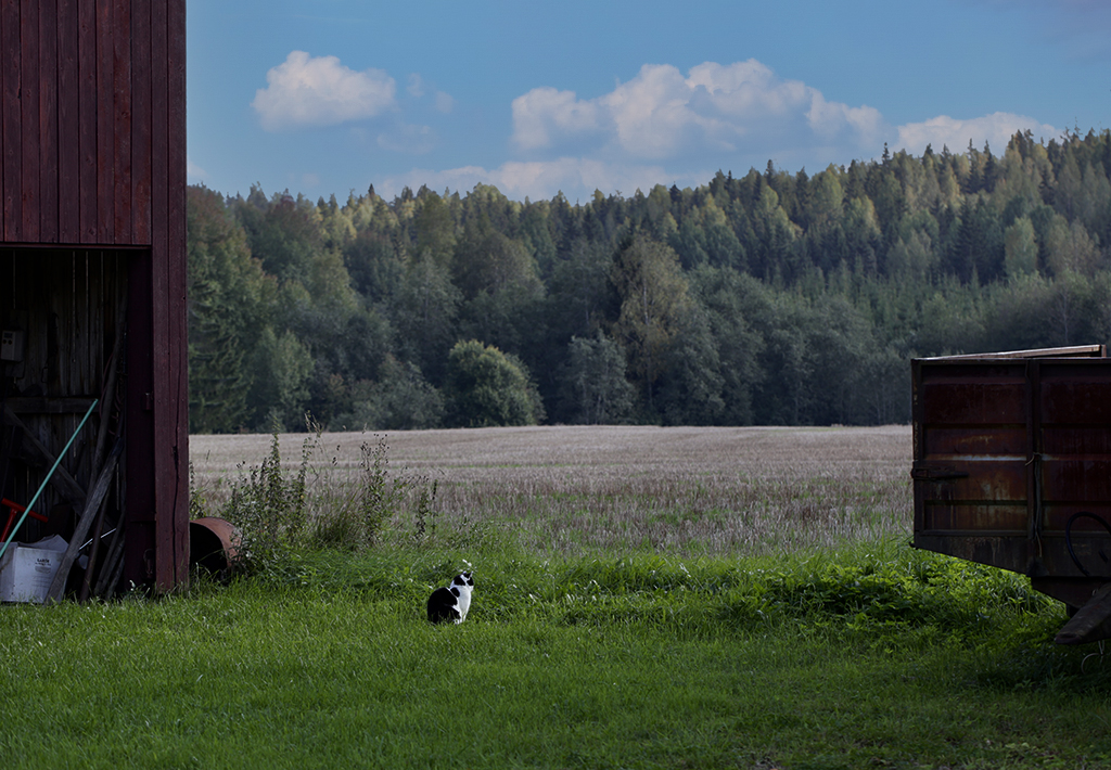 фото "***" метки: , 