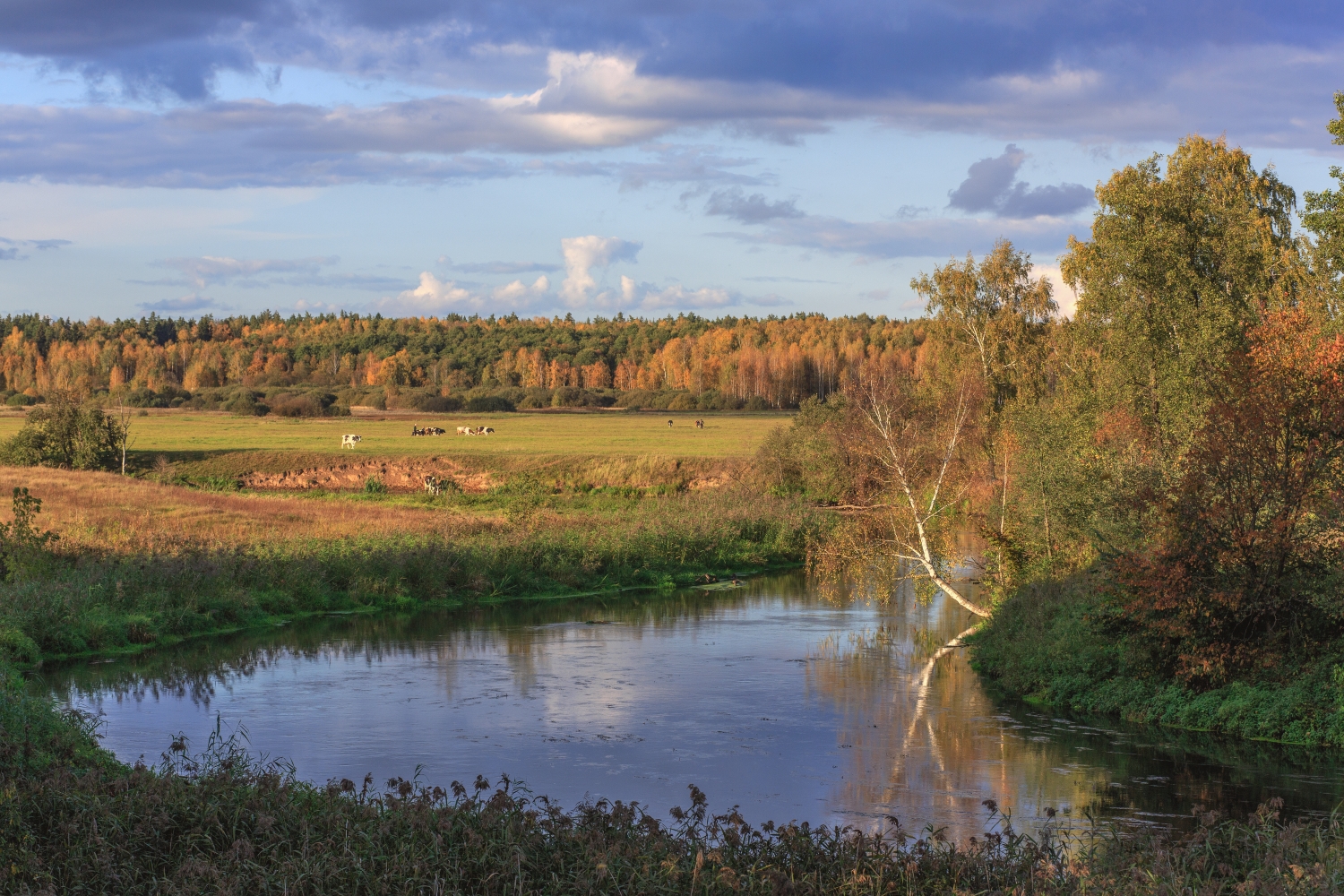 photo "***" tags: landscape, 