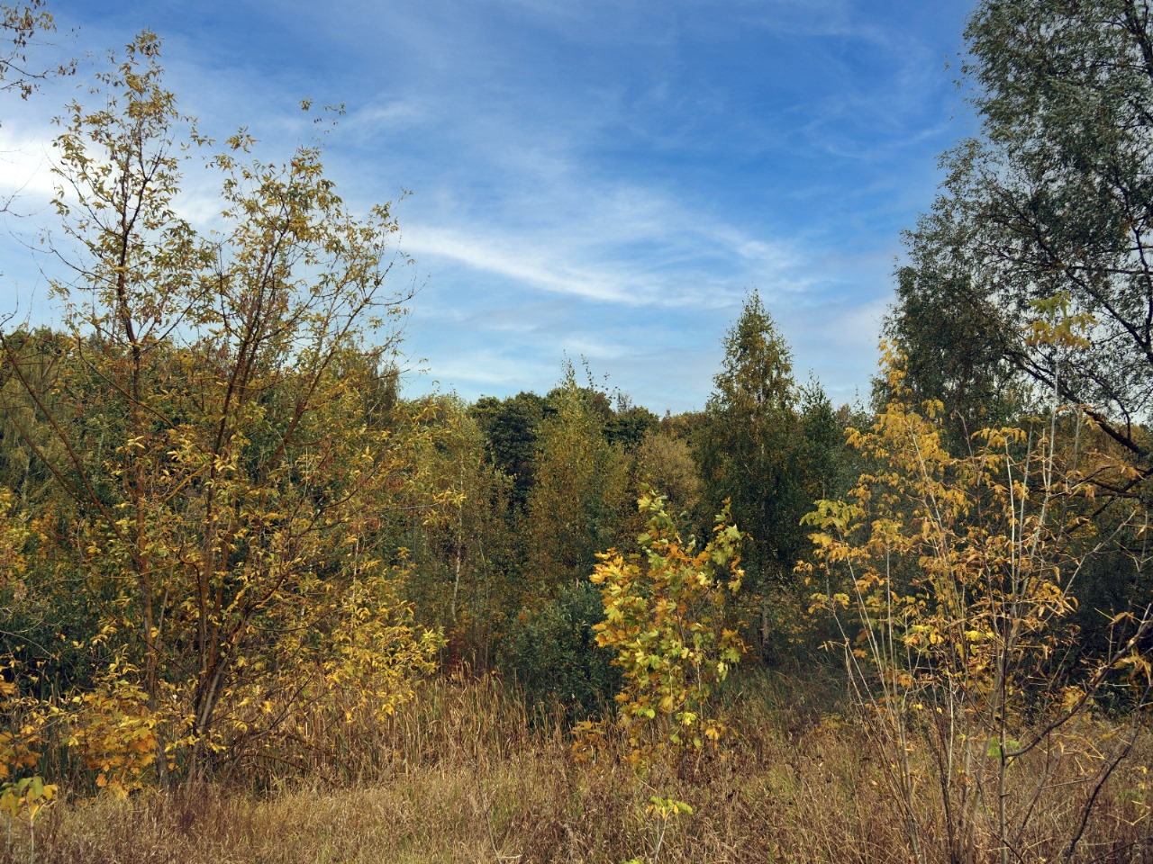 photo "***" tags: , autumn, river