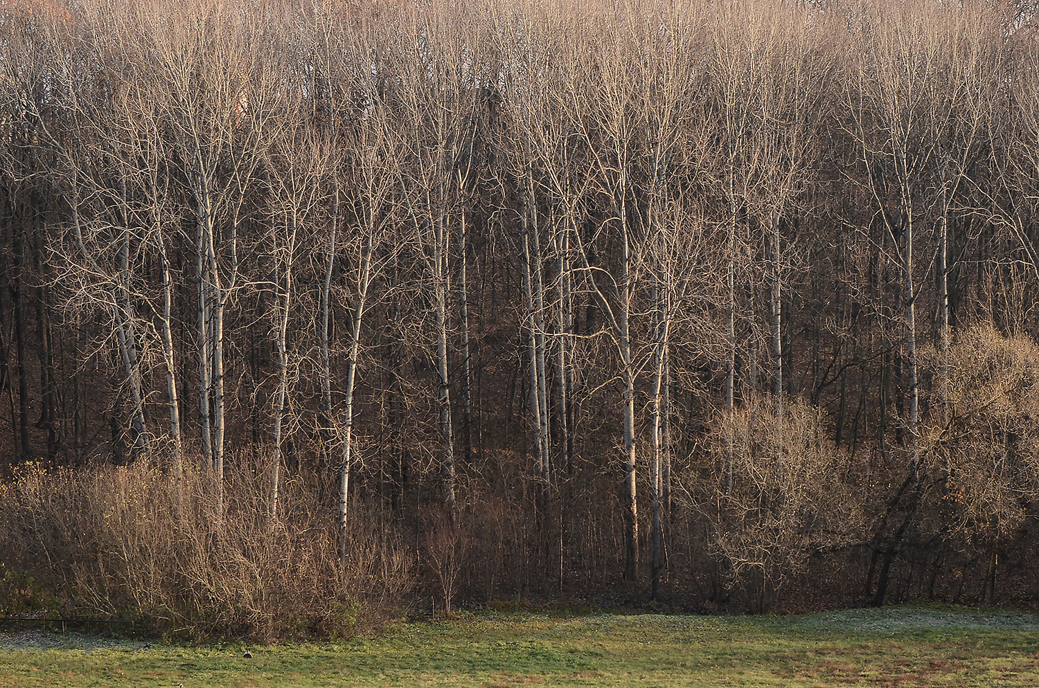 photo "***" tags: landscape, 